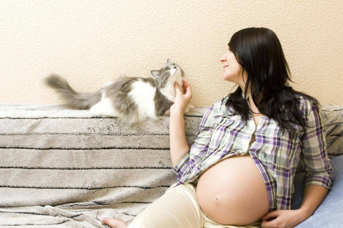 Toksoplazmoz hamileliye nece tesir edir? - Diaqnostika ve mualice