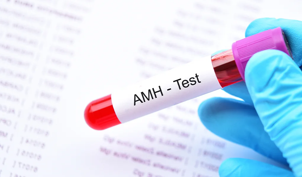 AMH hormonu nedir, rolu ve normal deyeri?